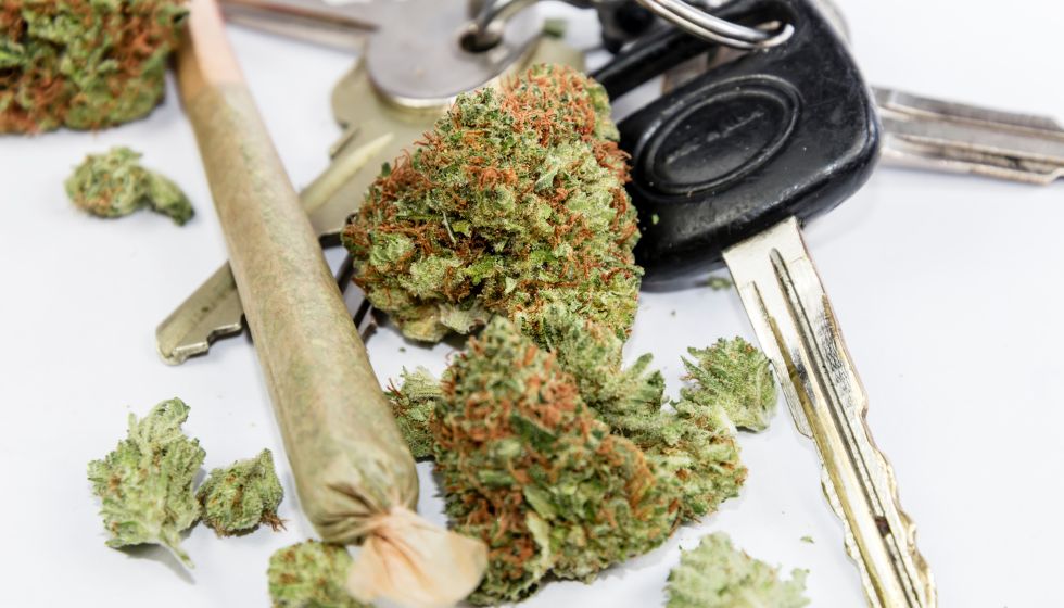 cannabis and driving