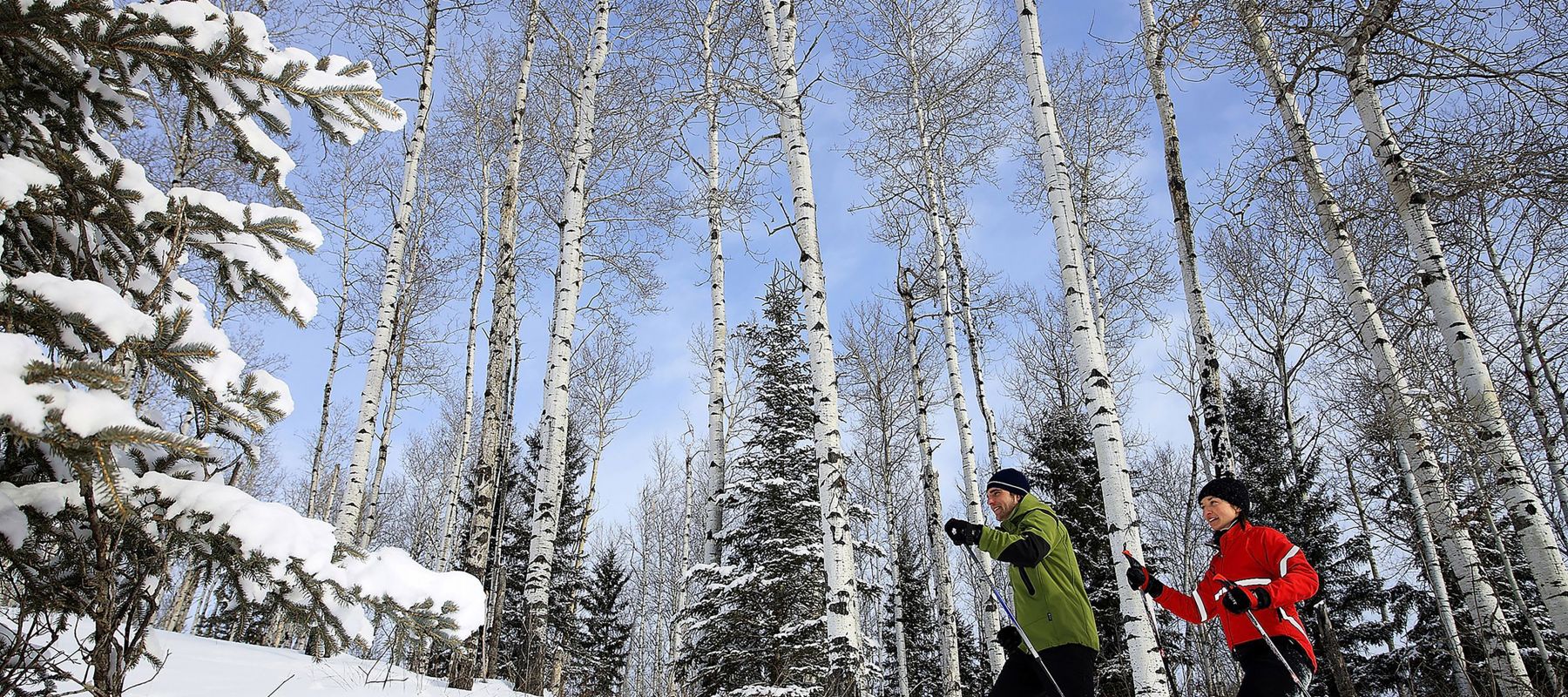 winter magazine cover